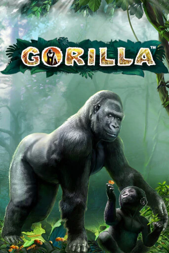 Gorilla играть бесплатно в демо режиме | PokerDom